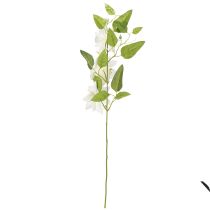 Product Artificial clematis branch with blossoms for elegant and low-maintenance decoration, 81cm, 2 pieces