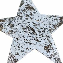 Product Coconut Star White Washed 10cm 20 pcs