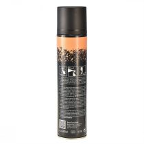 Product color spray Paint Silk Matt Terracotta 400ml