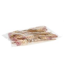 Product Compacta Pink 25 St