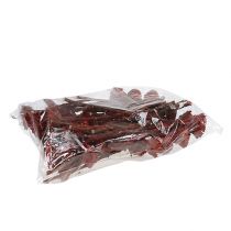 Product Compacta Rosette Erika 40 pcs