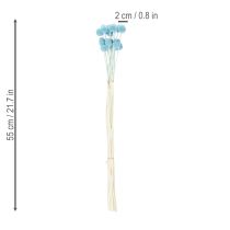 Product Craspedia dried flower decoration for vase, minimalist style, long-lasting summer decoration, 55cm, 20 pieces