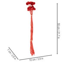 Product Dried Craspedia flowers, dyed, with long stems, 55cm, 20 pieces