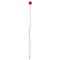 Product Dried Craspedia flowers, dyed, with long stems, 55cm, 20 pieces