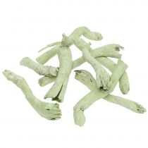 Cupy roots, pepe cone light green, washed white 350g