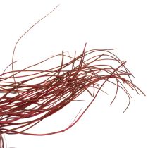 Product Curly Willow Dried Decorative Branch for Creative Floristry and Home Accessories 80cm 70g