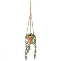 Artificial succulents hanging snake stonecrop 34cm
