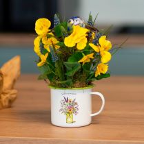 Product Decorative cup plant pot enamelled Ø11.5cm H10cm