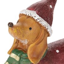 Product Decorative dachshund figurine with gift package and hat, 18cm