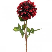 Product Artificial flower dahlia red silk flower autumn 78cm Ø3 / 15cm