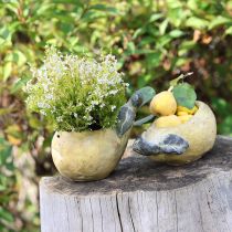 Product Decorative pear planter autumn plant pot concrete 25×13×11cm