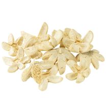 Product Decorative flower bleached 12 pcs