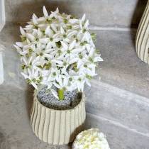 Product Decorative flower Allium, artificial ball leek, ornamental onion white Ø20cm L72cm