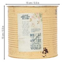 Product Decorative tin, apricot, metal plant pot, summer decoration, Ø15.5cm H15cm