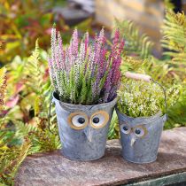 Product Decorative bucket owl planter zinc with handle Ø15/19cm set of 2