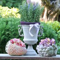 Decorative strawberry, plant pot, concrete decoration for planting L17cm