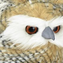 Product Decorative owl, autumn, forest animal, winter decoration H27cm