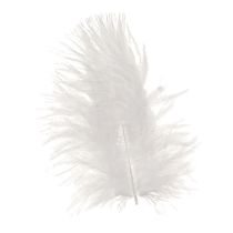 Product Decorative Feathers in White Craft Supplies Spring 5–10cm 20g