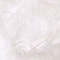 Product Decorative Feathers in White Craft Supplies Spring 5–10cm 20g