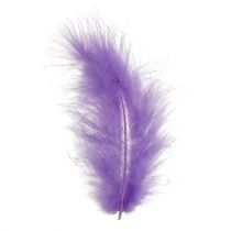 Product Feathers short 30g light purple