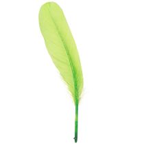 Product Decorative Feathers for Crafting Goose Feathers Light Green 20g x 2pcs