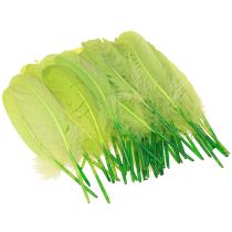Product Decorative Feathers for Crafting Goose Feathers Light Green 20g x 2pcs