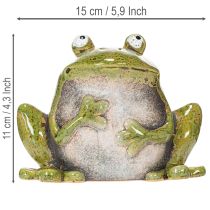 Product Decorative Frog Ceramic Green Brown Vintage L15.5cm