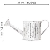 Product Decorative watering can, planter, watering can for planting Ø10.5cm