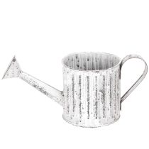 Product Decorative watering can, planter, watering can for planting Ø10.5cm
