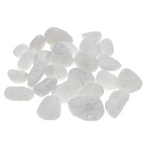 Deco pebbles in the net white 1cm - 2.5cm 1kg