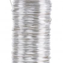 Product Deco Enamelled Wire Silver Ø0.50mm 50m 100g