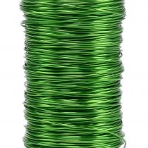 Product Deco Enamelled Wire Apple Green Ø0.50mm 50m 100g