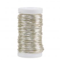 Deco Enameled Wire Champagne Ø0.50mm 50m 100g
