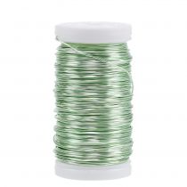 Decorative enamelled wire mint green Ø0.50mm 50m 100g