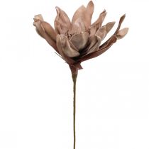 Deco lotus flower artificial lotus flower artificial flower brown L68cm