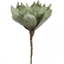 Deco lotus flower, lotus blossom, silk flower green L64cm