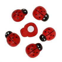 Deco ladybug for gluing 1.5cm red 360p