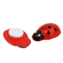 Decorative ladybug to glue 1cm red 360p