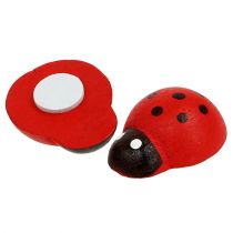 Deco ladybug for gluing 2.5cm red 72pcs