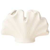 Product Sea shell Marine mini vase Ceramic Cream 14×7.5×9.5cm