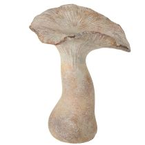 Product Decorative mushroom cast stone autumn decoration gray washed 19×15cm H23cm