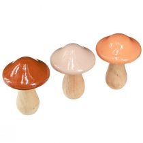 Product Decorative mushrooms made of wood brown beige orange Ø7.5cm H10cm 3 pcs
