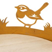 Product Decorative tray, table decoration with birds, spring decoration, rusted metal, Ø20cm H8.5cm