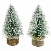 Christmas decoration, deco fir tree, mini fir green snowed H15cm Ø9.5cm 6pcs