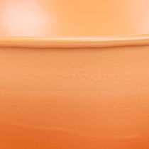 Product Decorative cup Ø16cm H9cm with metal plate, orange, 2 pieces
