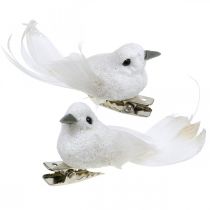Product Deco pair of doves Deco birds with clip white L5cm 4pcs