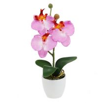 Decorative orchid in a pot pink H29cm