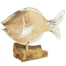 Product Decorative fish wooden stand on root maritime decoration 27cm