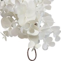 Product Decorative garland plant garland eucalyptus artificial roses dry look 170cm bleached