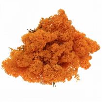 Deco Moss Orange Real moss for handicrafts Dried, colored 500g